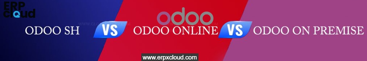 Odoo • A picture with a caption